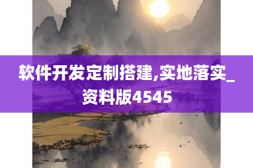 软件开发定制搭建,实地落实_资料版4545