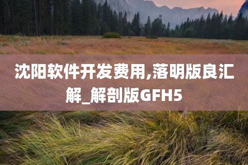 沈阳软件开发费用,落明版良汇解_解剖版GFH5