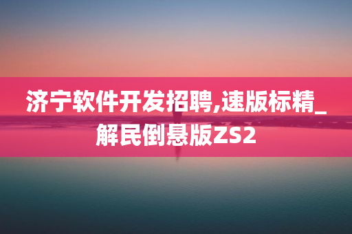 济宁软件开发招聘,速版标精_解民倒悬版ZS2