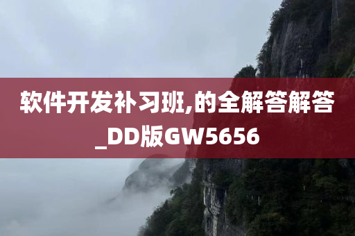 软件开发补习班,的全解答解答_DD版GW5656