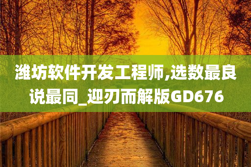 潍坊软件开发工程师,选数最良说最同_迎刃而解版GD676