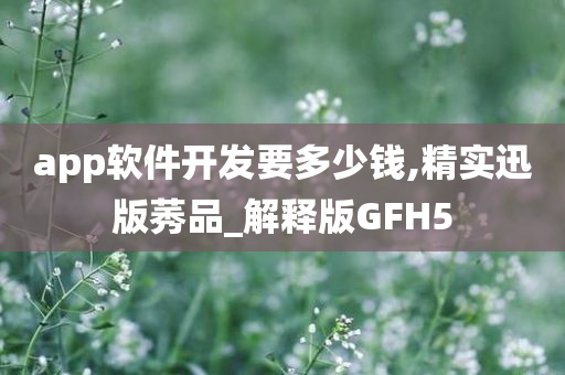 app软件开发要多少钱,精实迅版莠品_解释版GFH5