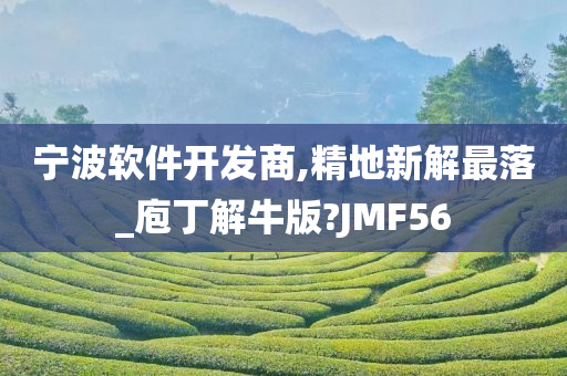 宁波软件开发商,精地新解最落_庖丁解牛版?JMF56