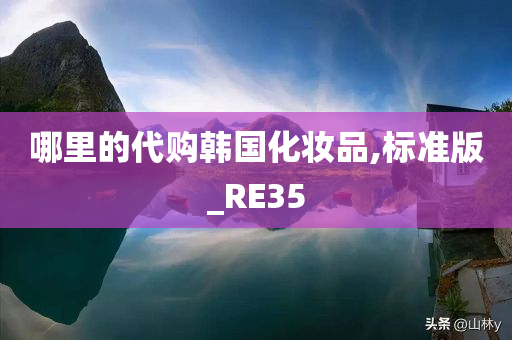 哪里的代购韩国化妆品,标准版_RE35