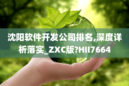 沈阳软件开发公司排名,深度详析落实_ZXC版?HII7664