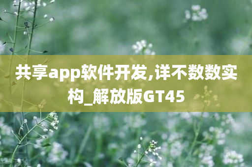 共享app软件开发,详不数数实构_解放版GT45