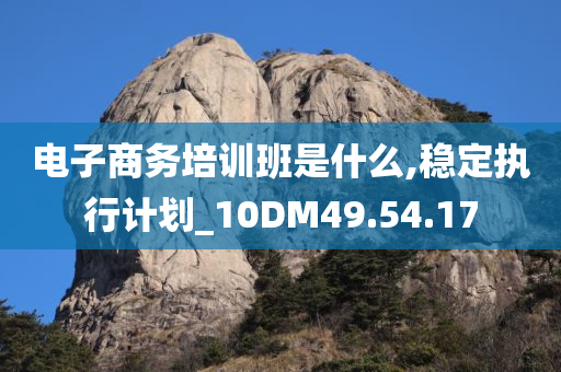 电子商务培训班是什么,稳定执行计划_10DM49.54.17