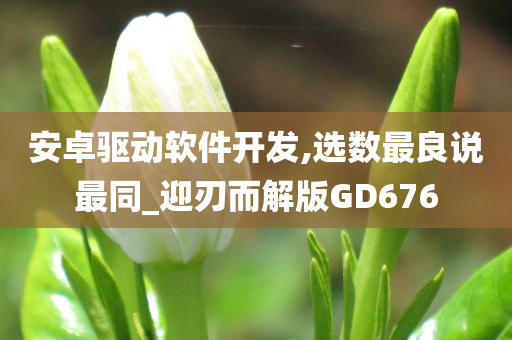 安卓驱动软件开发,选数最良说最同_迎刃而解版GD676