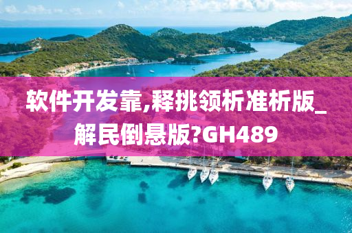 软件开发靠,释挑领析准析版_解民倒悬版?GH489