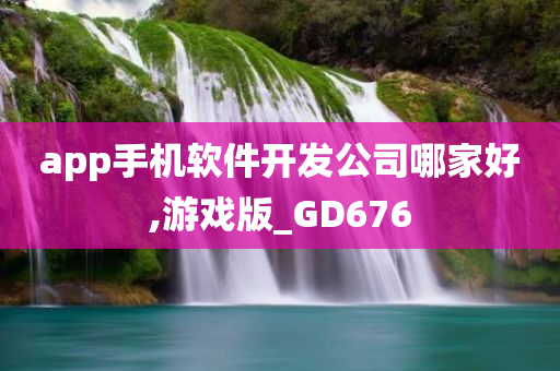 app手机软件开发公司哪家好,游戏版_GD676