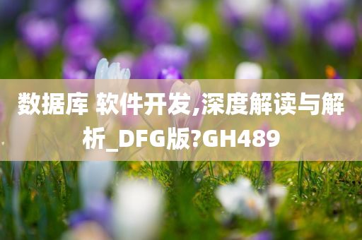 数据库 软件开发,深度解读与解析_DFG版?GH489