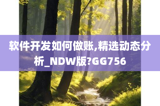 软件开发如何做账,精选动态分析_NDW版?GG756