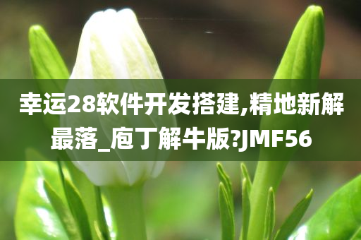 幸运28软件开发搭建,精地新解最落_庖丁解牛版?JMF56