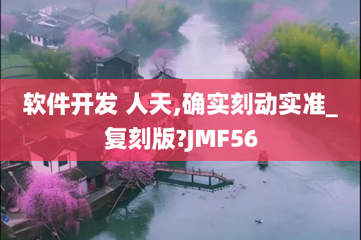 软件开发 人天,确实刻动实准_复刻版?JMF56