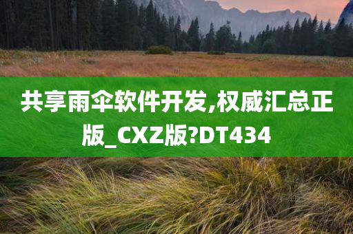 共享雨伞软件开发,权威汇总正版_CXZ版?DT434