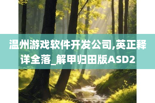 温州游戏软件开发公司,英正释详全落_解甲归田版ASD2