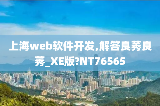 上海web软件开发,解答良莠良莠_XE版?NT76565