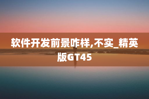 软件开发前景咋样,不实_精英版GT45