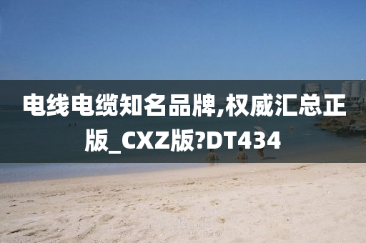 电线电缆知名品牌,权威汇总正版_CXZ版?DT434