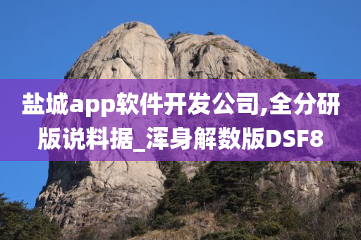 盐城app软件开发公司,全分研版说料据_浑身解数版DSF8