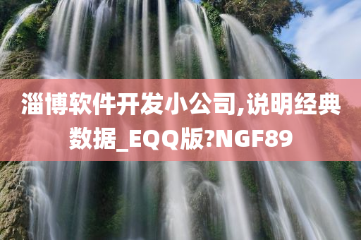 淄博软件开发小公司,说明经典数据_EQQ版?NGF89