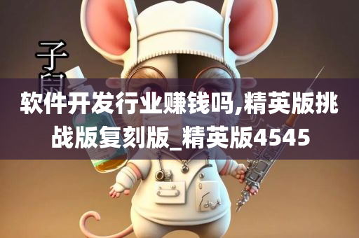 软件开发行业赚钱吗,精英版挑战版复刻版_精英版4545