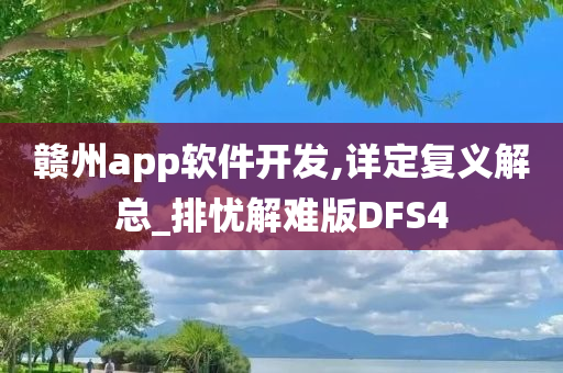 赣州app软件开发,详定复义解总_排忧解难版DFS4