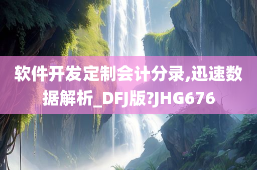 软件开发定制会计分录,迅速数据解析_DFJ版?JHG676