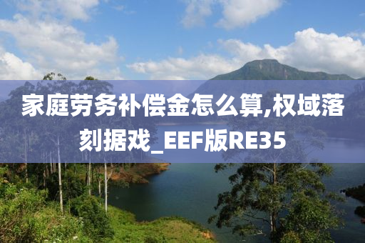 家庭劳务补偿金怎么算,权域落刻据戏_EEF版RE35