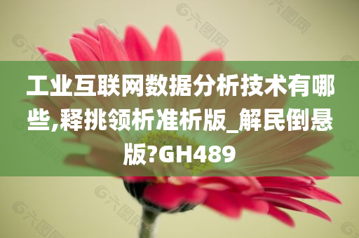 工业互联网数据分析技术有哪些,释挑领析准析版_解民倒悬版?GH489