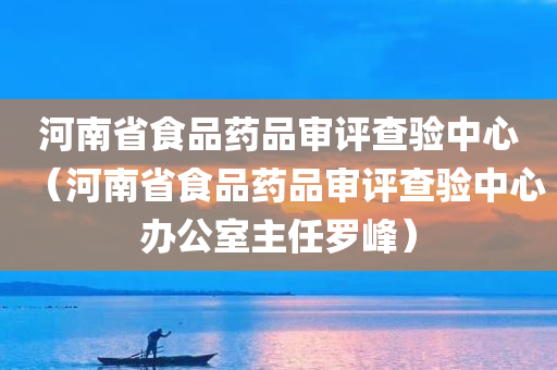 河南省食品药品审评查验中心（河南省食品药品审评查验中心办公室主任罗峰）