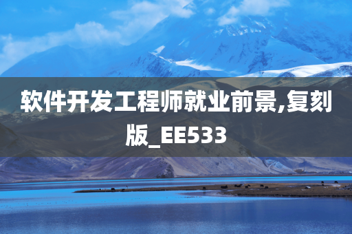 软件开发工程师就业前景,复刻版_EE533