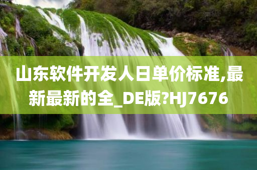 山东软件开发人日单价标准,最新最新的全_DE版?HJ7676