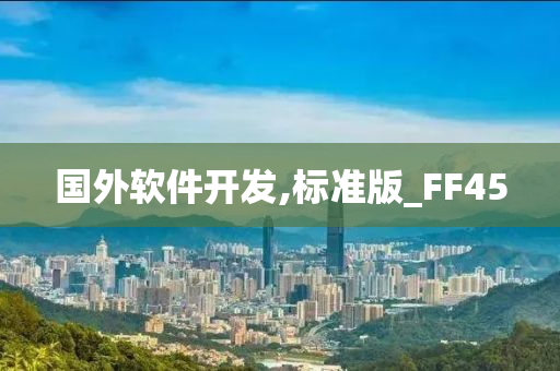 国外软件开发,标准版_FF45