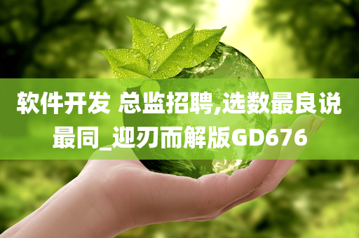 软件开发 总监招聘,选数最良说最同_迎刃而解版GD676