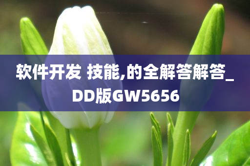 软件开发 技能,的全解答解答_DD版GW5656