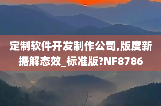 定制软件开发制作公司,版度新据解态效_标准版?NF8786