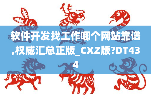 软件开发找工作哪个网站靠谱,权威汇总正版_CXZ版?DT434