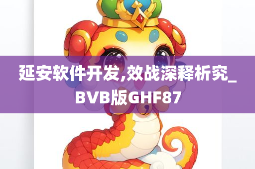 延安软件开发,效战深释析究_BVB版GHF87