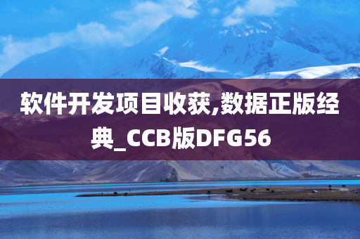 软件开发项目收获,数据正版经典_CCB版DFG56