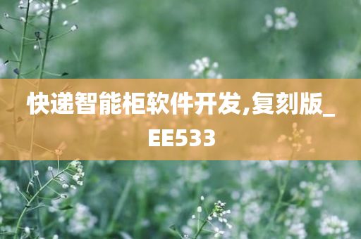 快递智能柜软件开发,复刻版_EE533