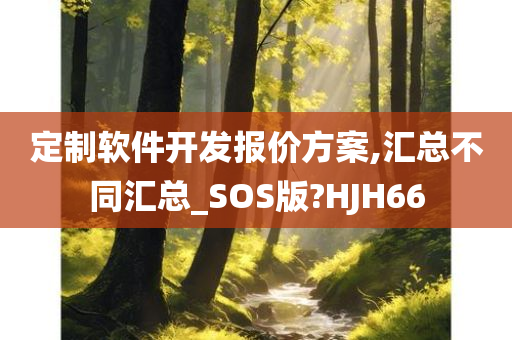 定制软件开发报价方案,汇总不同汇总_SOS版?HJH66