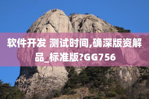 软件开发 测试时间,确深版资解品_标准版?GG756