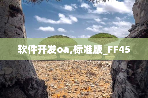 软件开发oa,标准版_FF45