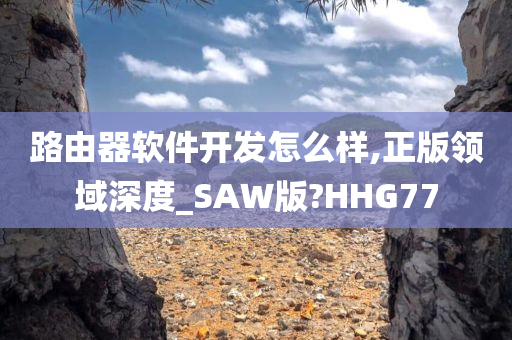 路由器软件开发怎么样,正版领域深度_SAW版?HHG77