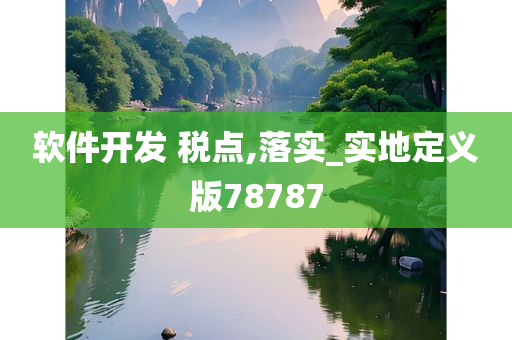 软件开发 税点,落实_实地定义版78787