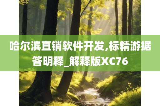 哈尔滨直销软件开发,标精游据答明释_解释版XC76