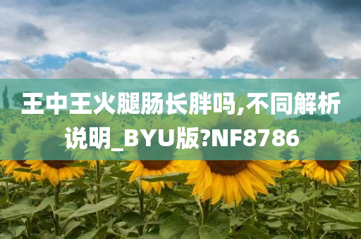 王中王火腿肠长胖吗,不同解析说明_BYU版?NF8786