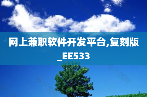 网上兼职软件开发平台,复刻版_EE533