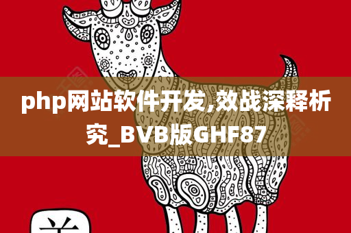 php网站软件开发,效战深释析究_BVB版GHF87